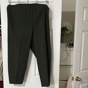 Eileen Fisher Women's Dark Green Pants